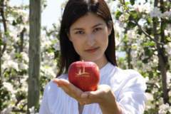 car3d256605a3a20a9df091