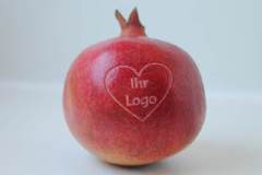 car3d256605a3a20a9df0910