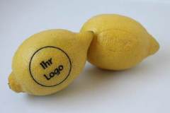 car3d256605a3a20a9df0912