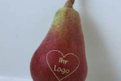 car3d256605a3a20a9df0913