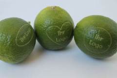 car3d256605a3a20a9df0914