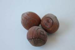 car3d256605a3a20a9df0916