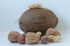 car3d256605a3a20a9df0919