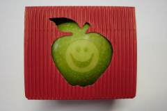 car3d256605a3a20a9df095