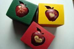 car3d256605a3a20a9df096