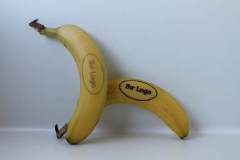 car3d256605a3a20a9df097