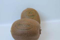 car3d256605a3a20a9df098